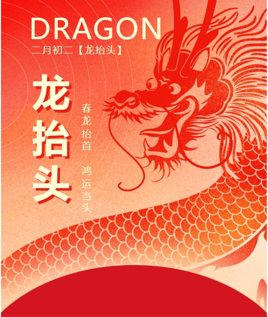 二月二龍?zhí)ь^，春龍振翅鴻運(yùn)啟 —— 佳木斯網(wǎng)云信息科技有限公司與您共迎新春盛景